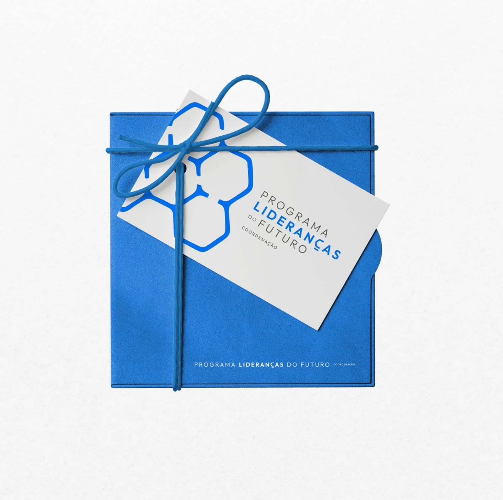 Kit visual do Programa Lideranças do Futuro